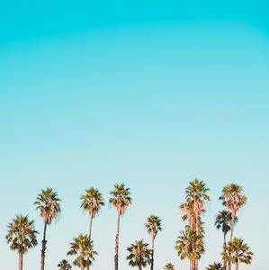 Team Page: Los Angeles